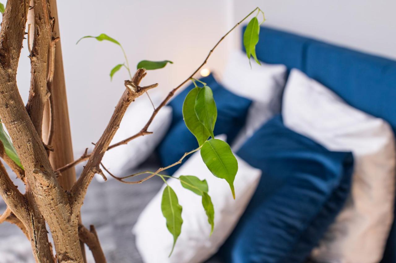 Apartamenty Rodzinne Kołobrzeg Esterno foto